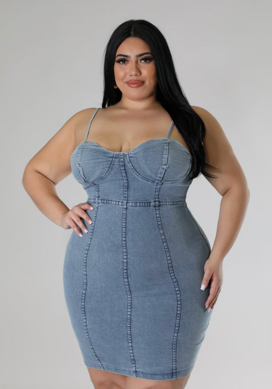 Denim Fitted Dress Plus