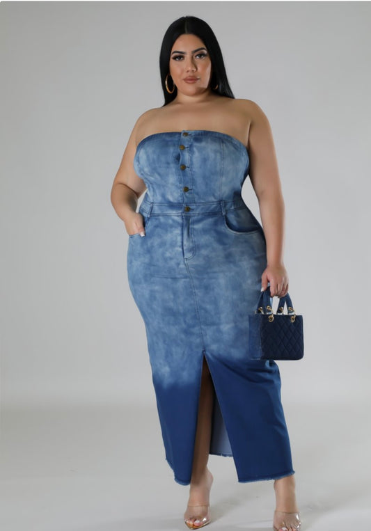 Run It Up Denim Dress Plus